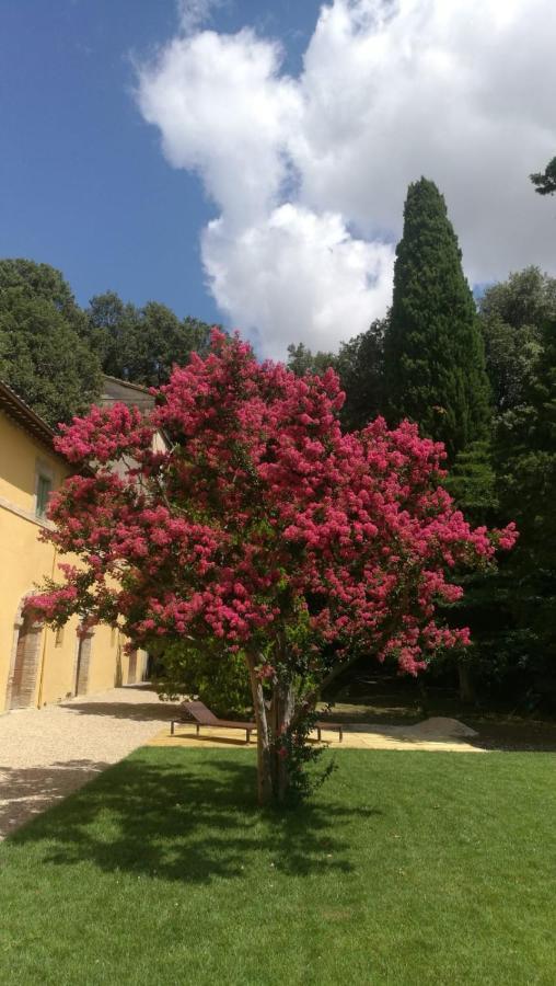 San Martinello Villa *